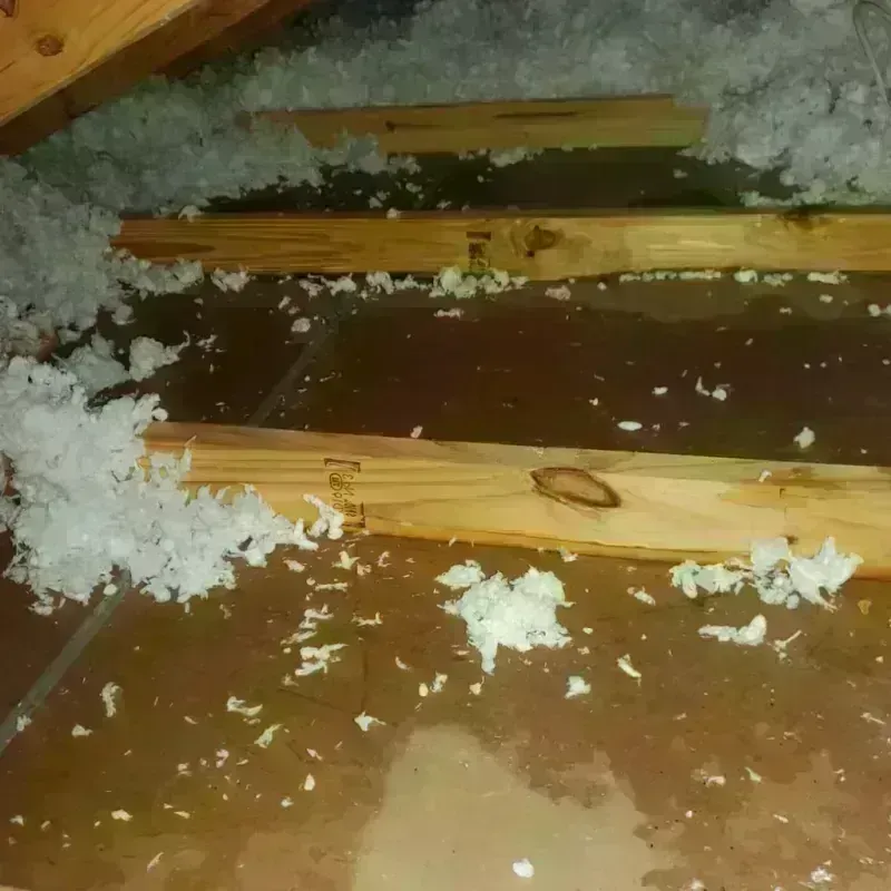 Attic Water Damage in Columbia, CA